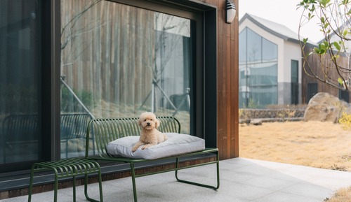 BIZART PET(Garden Suite)