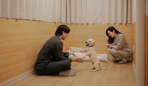 KOUM Deluxe Terrace Pet Room