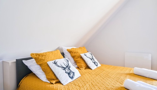 Comfort Suite, Park View