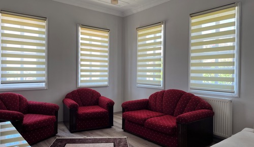 Executive Suite, Garden View