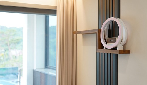 Luxury Double Room - Jacuzzi (One time fee 20,000 KRW / Pay on site)