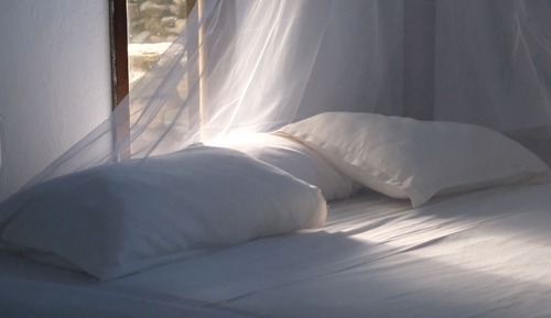 Standard Double Room, Garden View