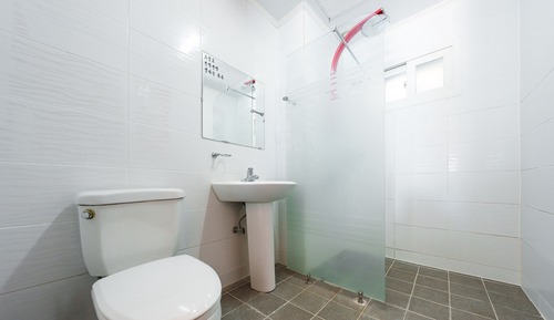 Basic Room, 1 Bedroom (room 201(Pet))