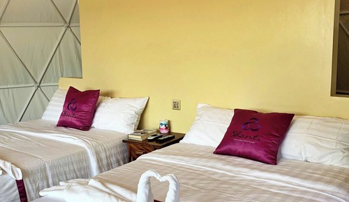 Comfort Villa, Multiple Beds, Patio, Garden View