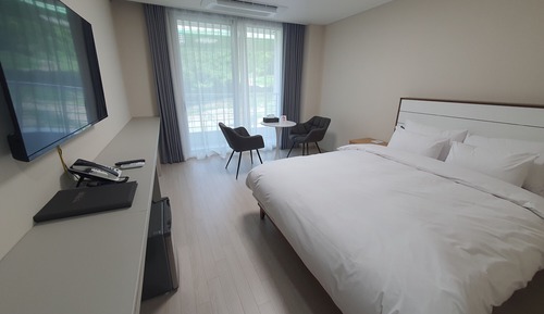 Business Double Room, 1 Double Bed, Mountain View