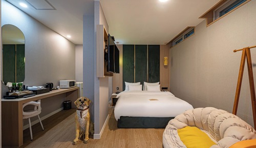 Cozyville - Kids Queen