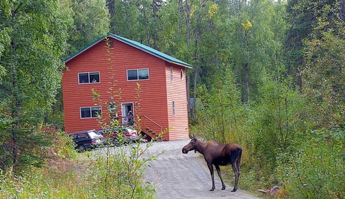 Family Room, 1 Bedroom, Refrigerator, Annex Building