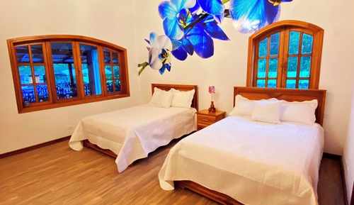 Standard Double Room, 1 Bedroom, Pool Access, Garden View