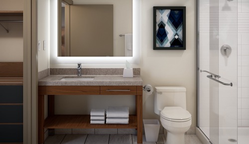 Studio Suite, 1 King Bed, Mobility Accessible, Non Smoking (Communications)