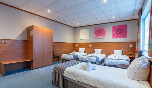 Basic Quadruple Room