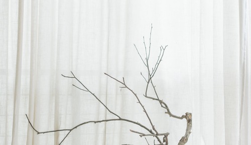 Salt· painting works (Double room·mountain view)
