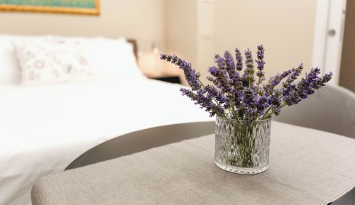 Deluxe Room, Pool View