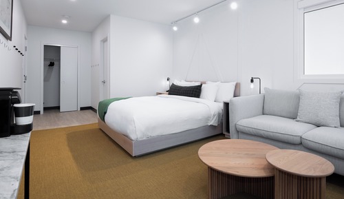 Suite, 1 King Bed with Sofa bed