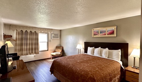 Standard Room, 1 King Bed, Non Smoking