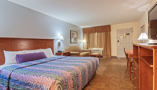 Standard Single Room, 1 King Bed with Sofa bed