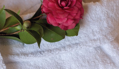 Honeymoon Double Room, City View