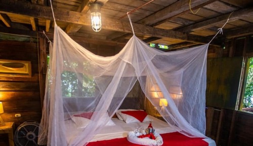 Classic Room, Balcony, Garden View