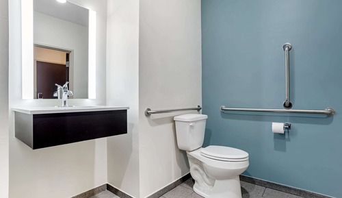 Room, 1 King Bed, Accessible, Non Smoking