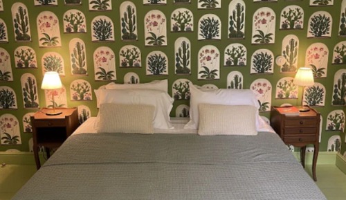 Chambre classique Cactus