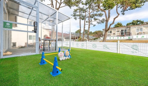 Basic Room, 2 Bedrooms (F701)