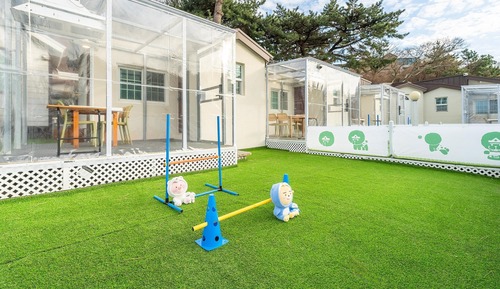 Basic Room, 1 Bedroom (B202)