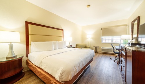 Standard Room, 1 King Bed, Accessible