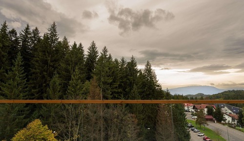 Swiss, Signature Apartment, 1 Double Bed