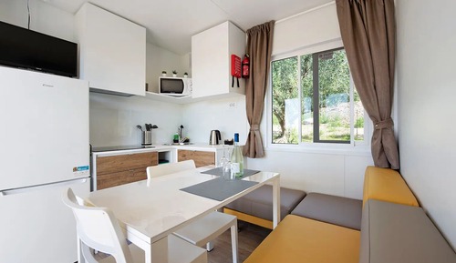 Classic Mobile Home