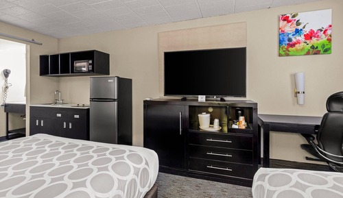 Room, 1 King Bed, Accessible, Non Smoking (Roll-In Shower)
