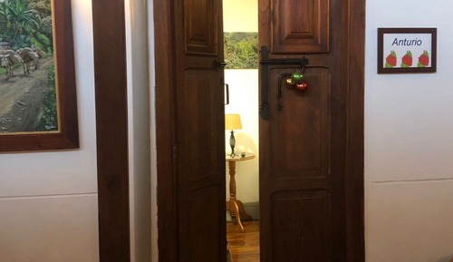 Basic Room, 1 Double Bed