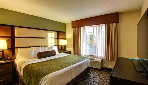 Standard Room, 1 Queen Bed, Non Smoking, Jetted Tub