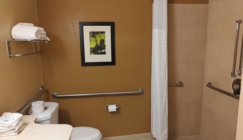 Deluxe Room, 1 Queen Bed, Mobility Accessible, Non Smoking (Roll-in Shower)