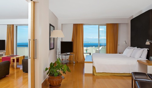 Executive Suite, 1 King Bed