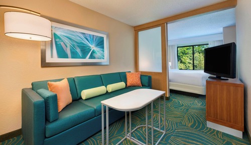 Suite, 1 King Bed with Sofa bed, Non Smoking