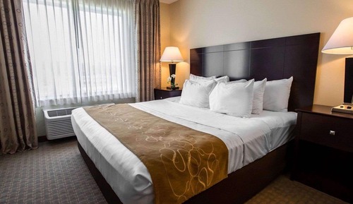 Suite, 1 King Bed with Sofa bed, Non Smoking (Pet Friendly)