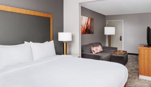 Suite, 1 King Bed with Sofa bed (Mobility Accessible, Tub)