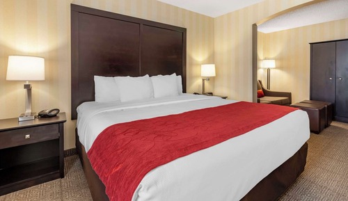 Suite, 1 King Bed with Sofa bed, Accessible, Non Smoking (Roll-In Shower)