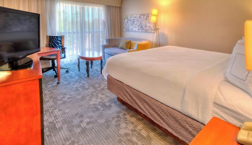 Room, 1 King Bed with Sofa bed