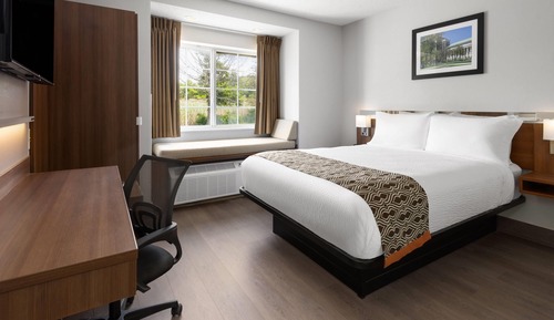 Superior Room, 1 Queen Bed (microwave & fridge included)