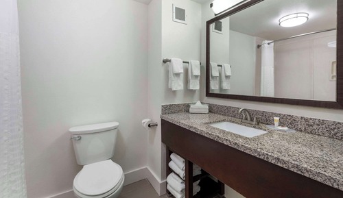 Suite, 1 King Bed, Non Smoking