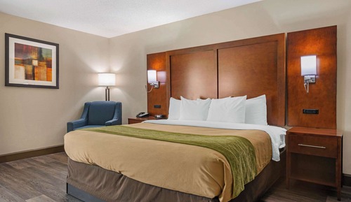 Room, 1 King Bed, Accessible, Non Smoking