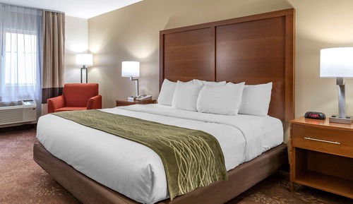 Room, 1 King Bed, Accessible, Non Smoking