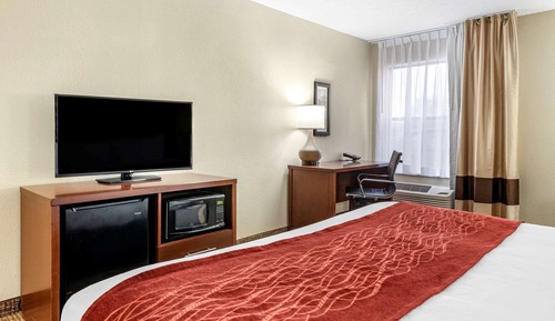 Basic Single Room, 1 King Bed, Accessible, Non Smoking