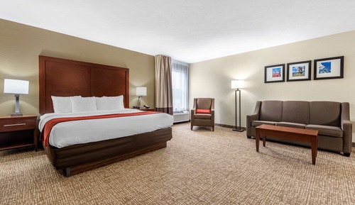 Suite, 1 King Bed with Sofa bed, Non Smoking