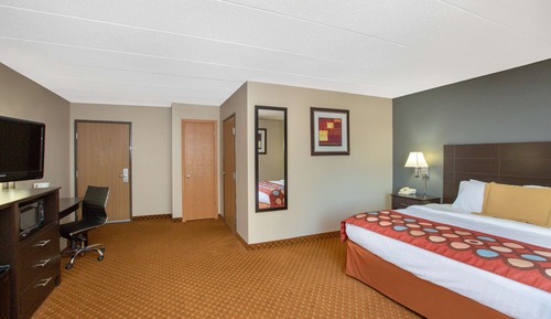 Room, 1 King Bed, Non Smoking