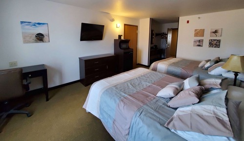 Standard Studio Suite, Multiple Beds, Non Smoking (with Pull out Couch, Non-pet friendly)