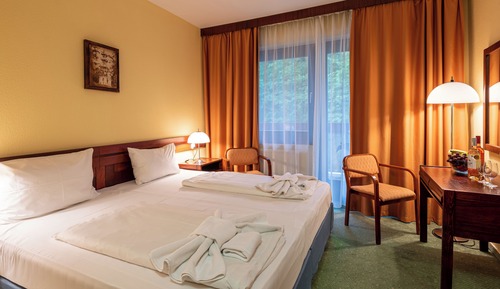Basic Double Room, 1 King Bed, Non Smoking