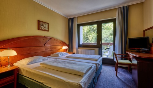 Basic Double Room
