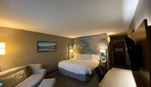 Room, 1 King Bed with Sofa bed, Non Smoking