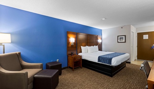 Standard Room, 1 King Bed, Non Smoking